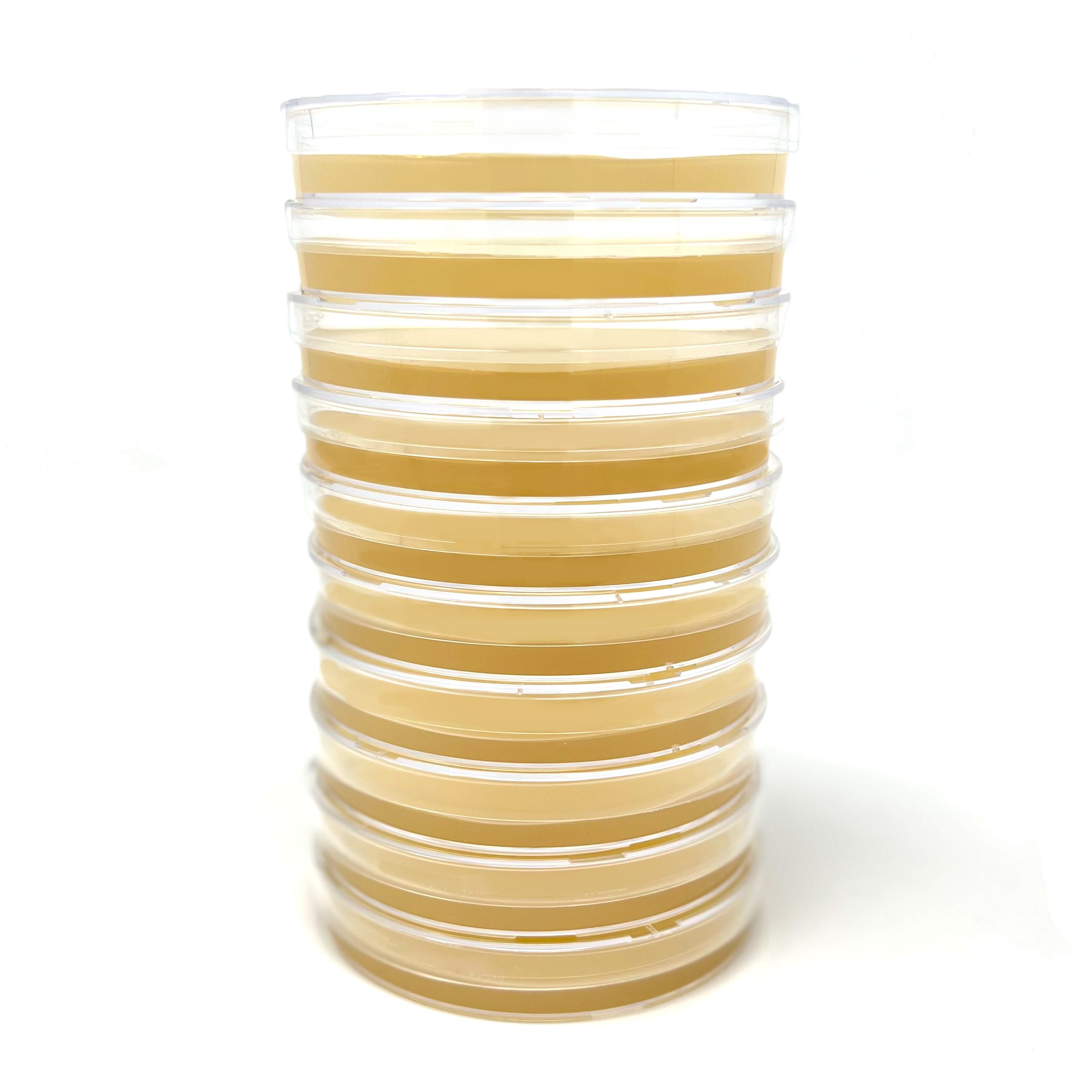 malt yeast extract agar plates stack of 10